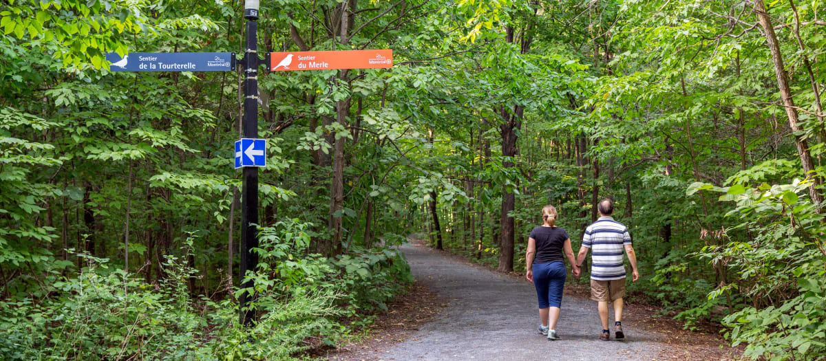 Parc Thomas-Chapais
