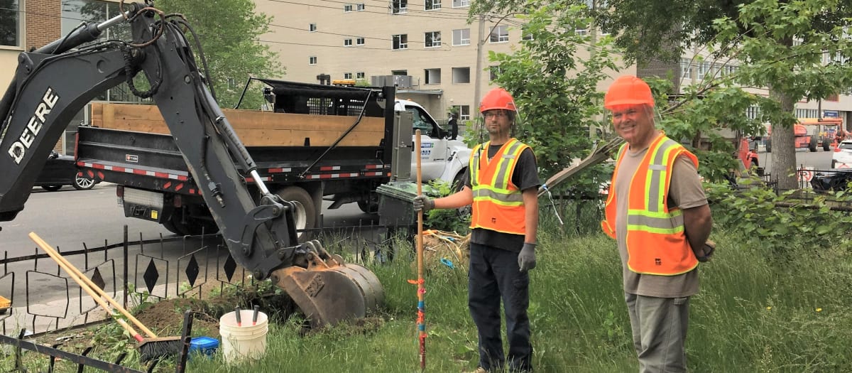 Équipe en action lors d'une plantation d'arbres