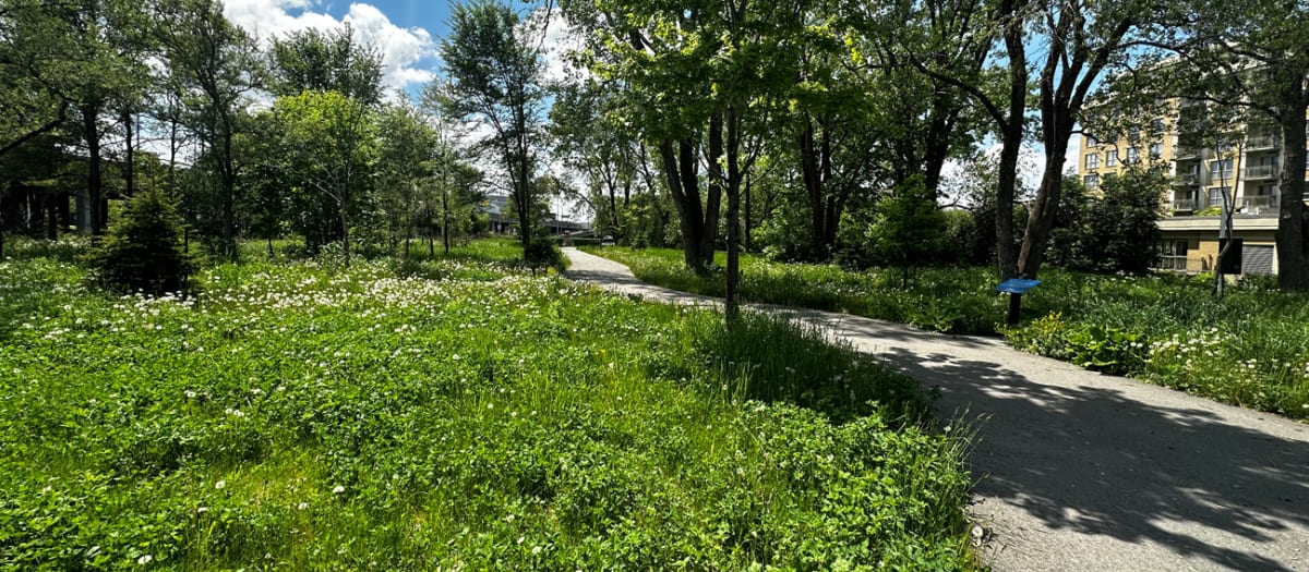 Terrain du parc Suzanne-Beaudoin-Dumouchel