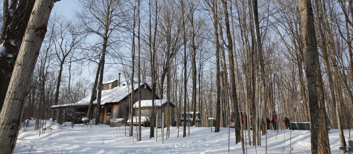 Cabane à sucre