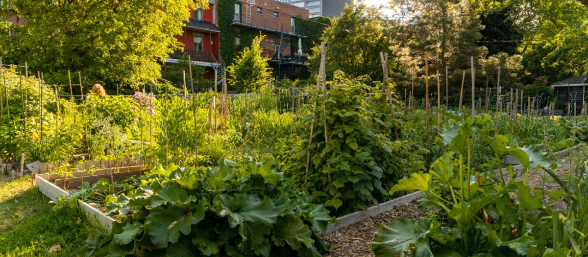 Jardin communautaire Saint-André