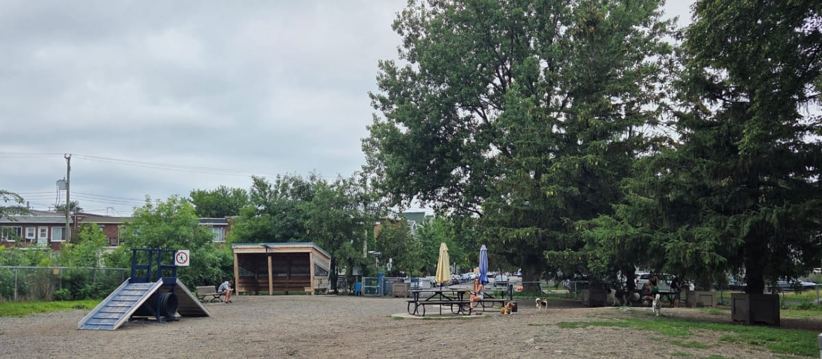 Parc à chiens du parc Lafond
