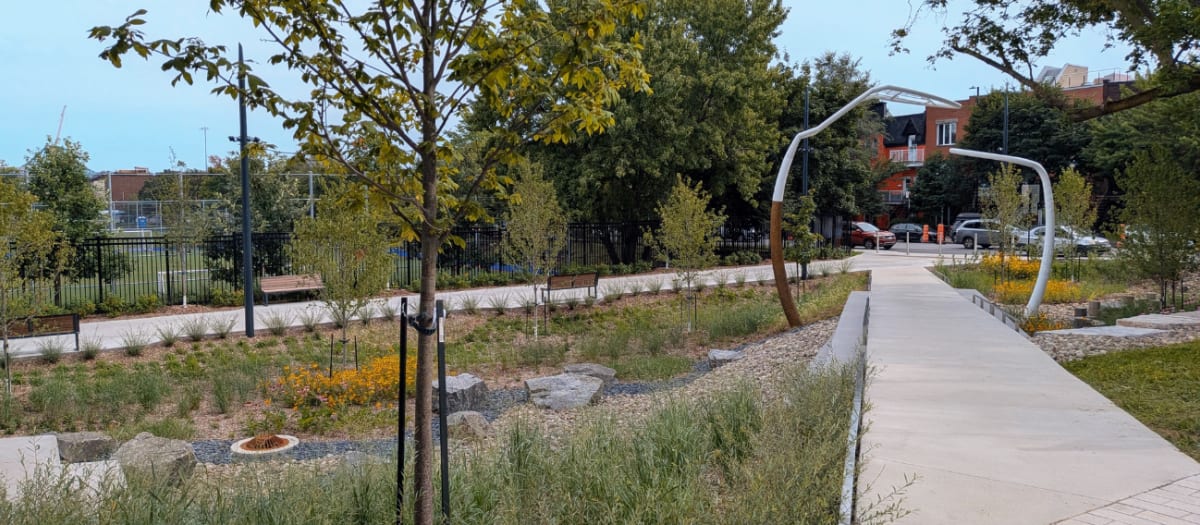 Sentier piétonnier traversant un espace vert aménagé avec arbres, plantations et structures artistiques blanches dans un parc urbain.
