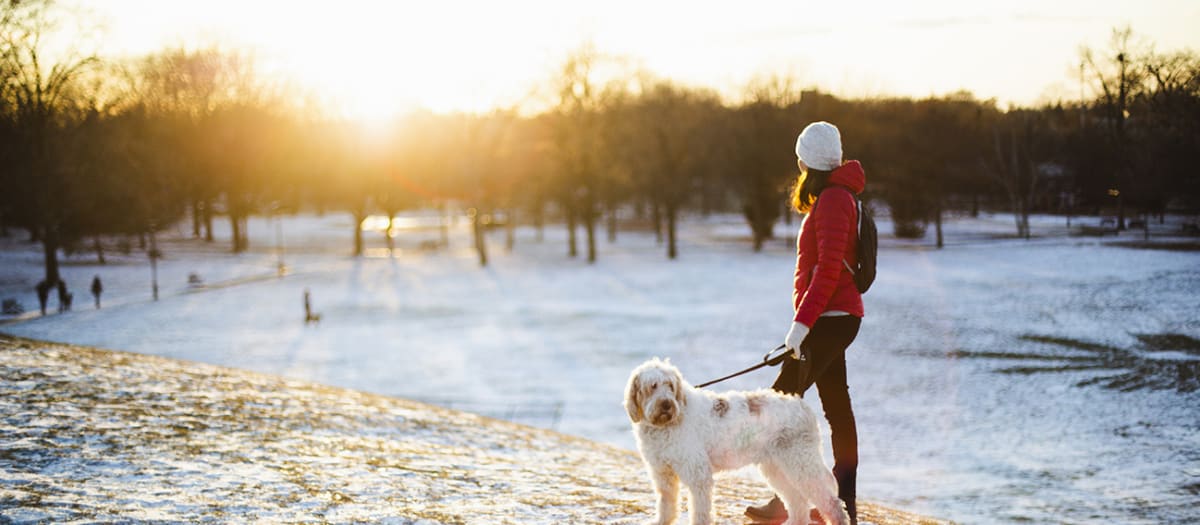 Jeune femme qui marche en ville avec son chien