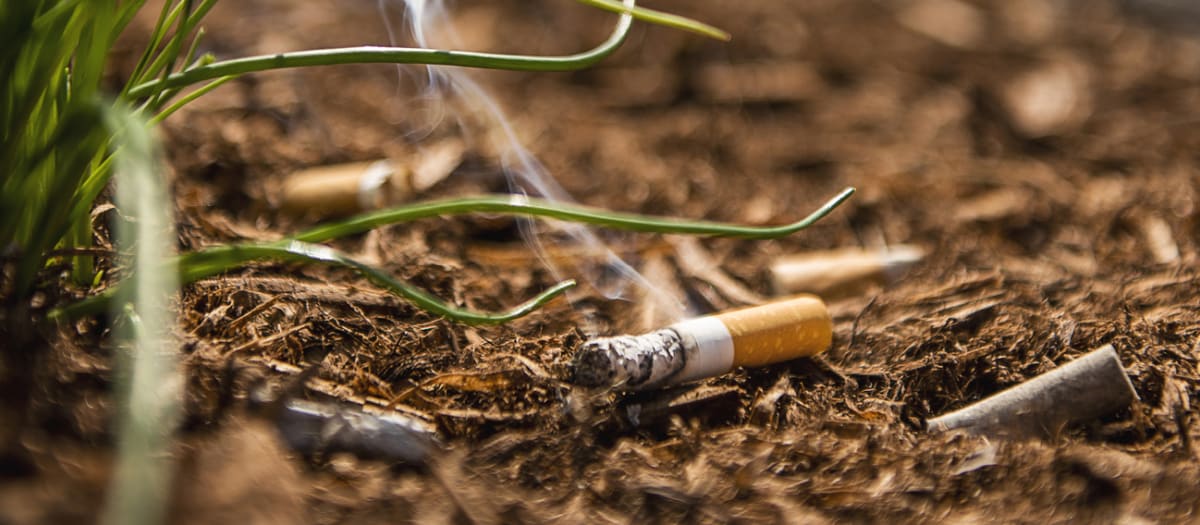 Un mégot de cigarette jeté au sol
