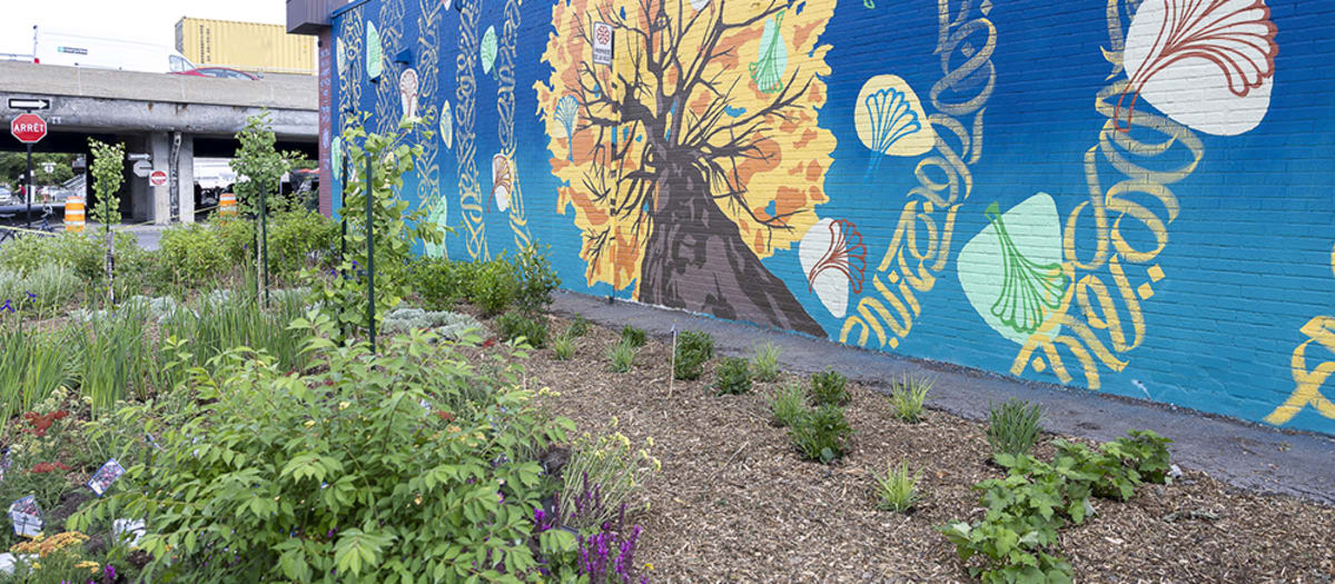 Photo du Jardin de la Diversité