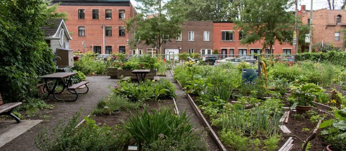 Jardin communautaire Centre-Sud