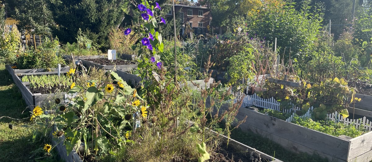 Jardin citoyen Beaubien