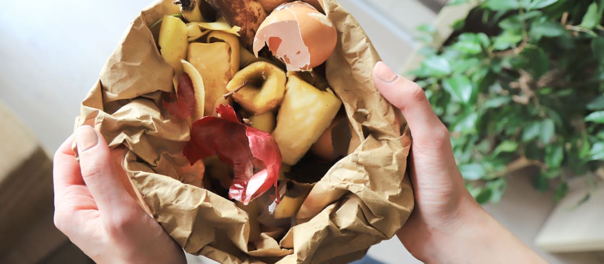 Comment choisir un sac à compost