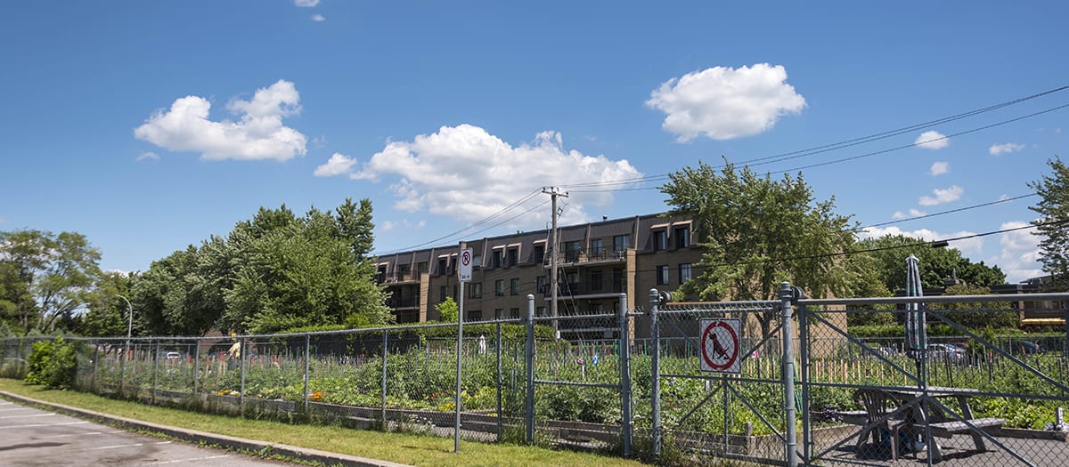 Jardin communautaire parc Lucie-Bruneau