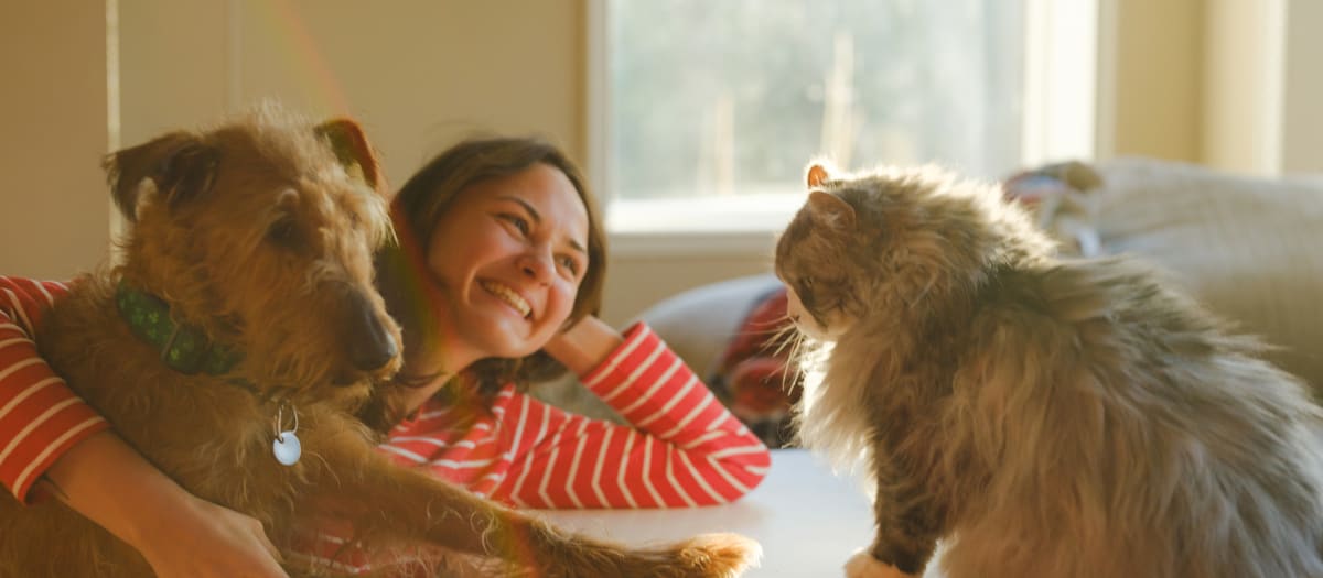 Une femme avec son chien sur elle porte un regard doux vers son chat qui est à sa droite.