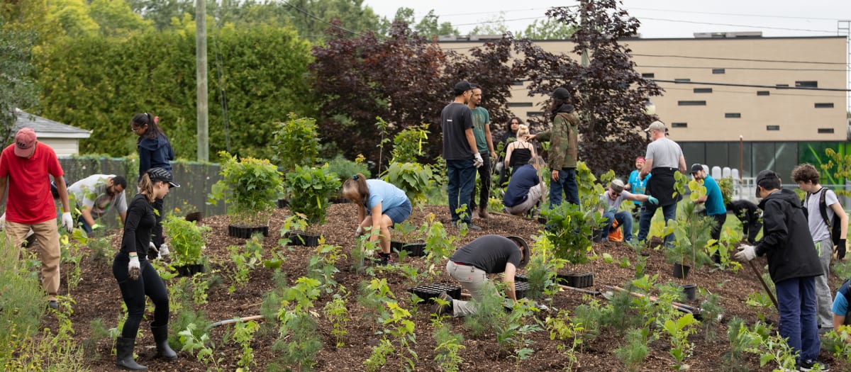 Volunteers help plant the microforest in Deauville Park.