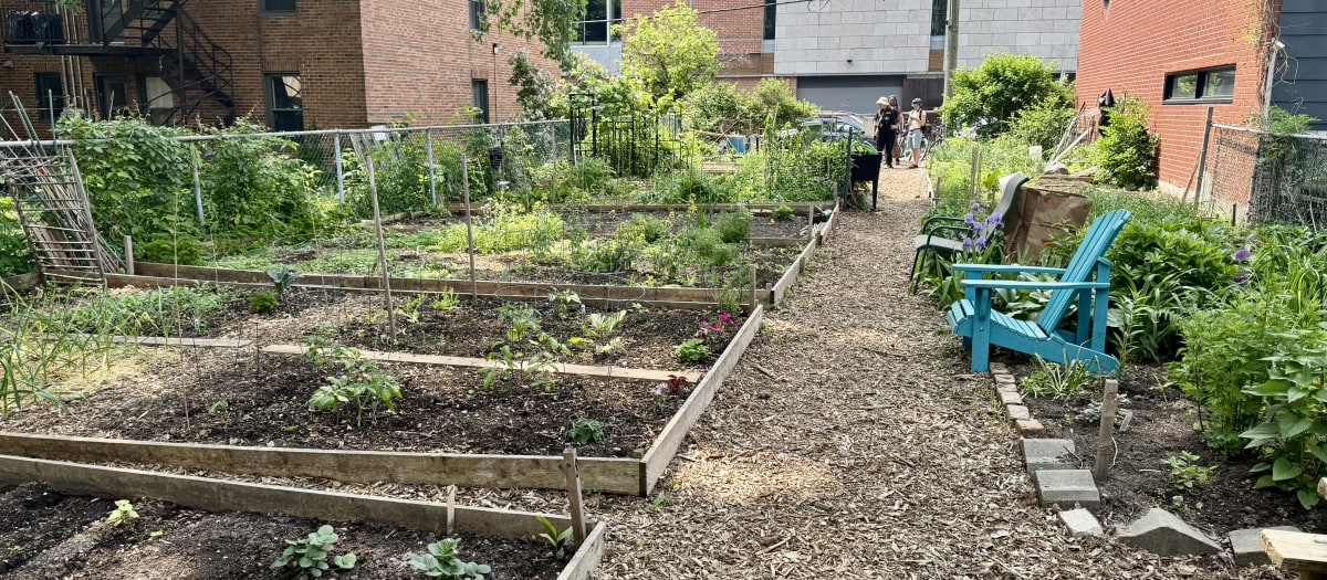 Jardin communautaire Panet