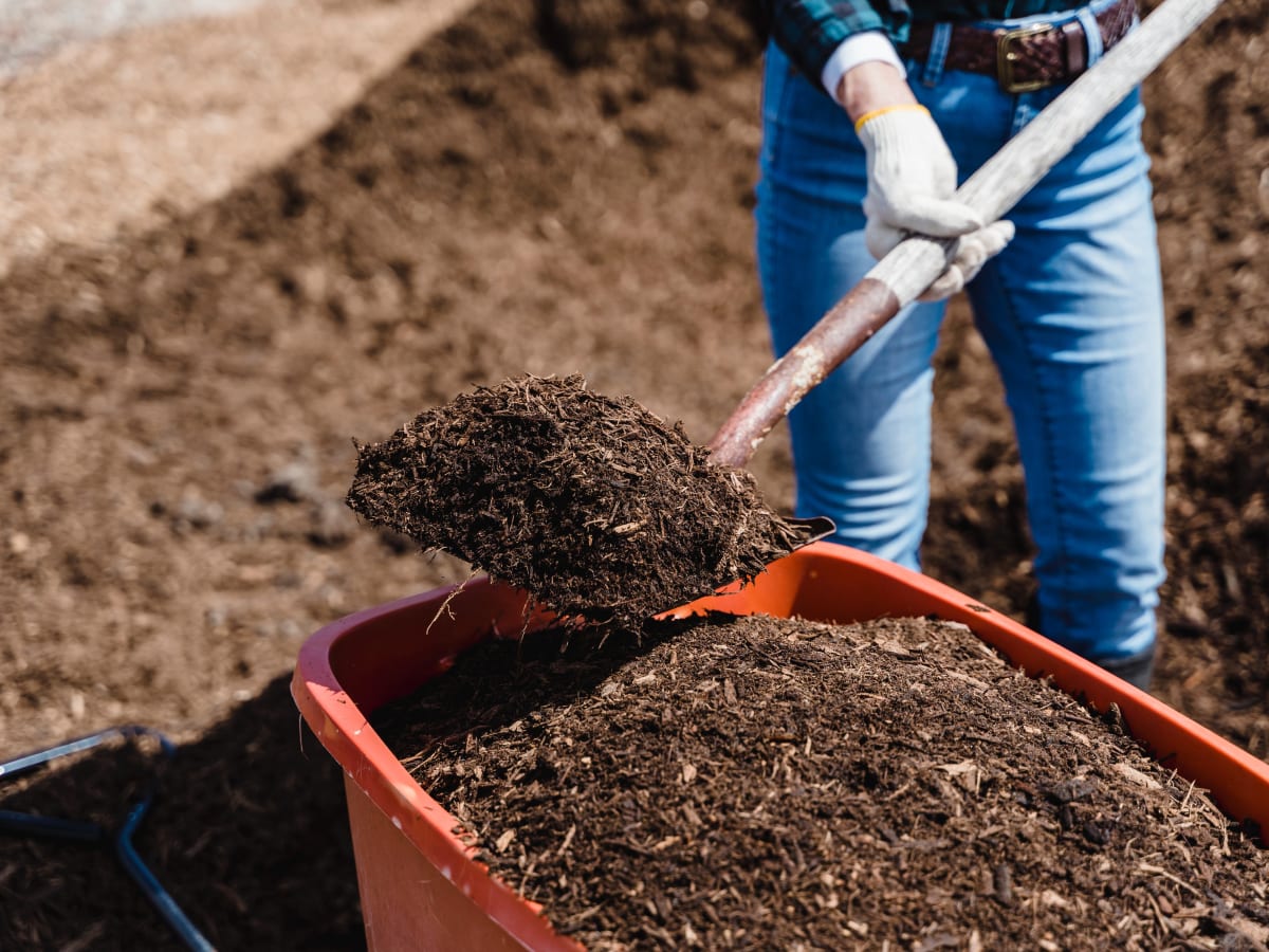 Compost gratuit Saint-Léonard