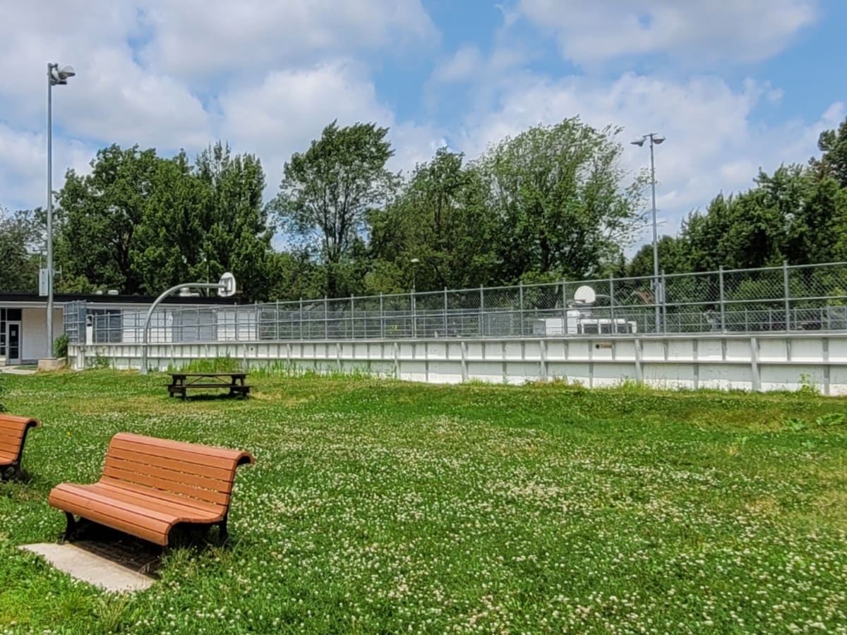 Terrain de basketball l'été sur la patinoire du parc