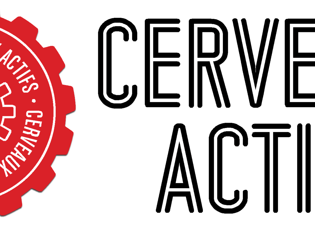 Cerveaux actifs