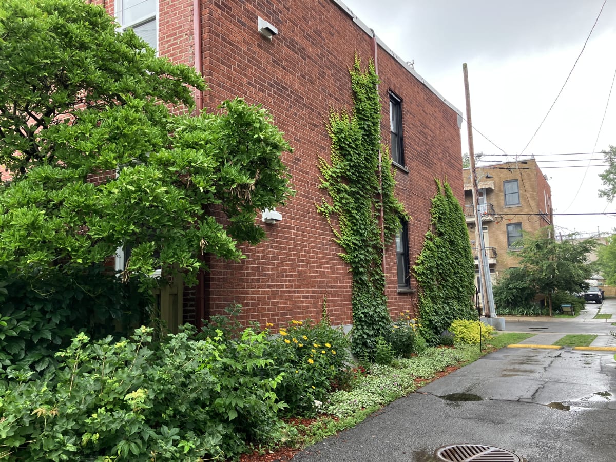 Ruelle bordée de verdure à Verdun