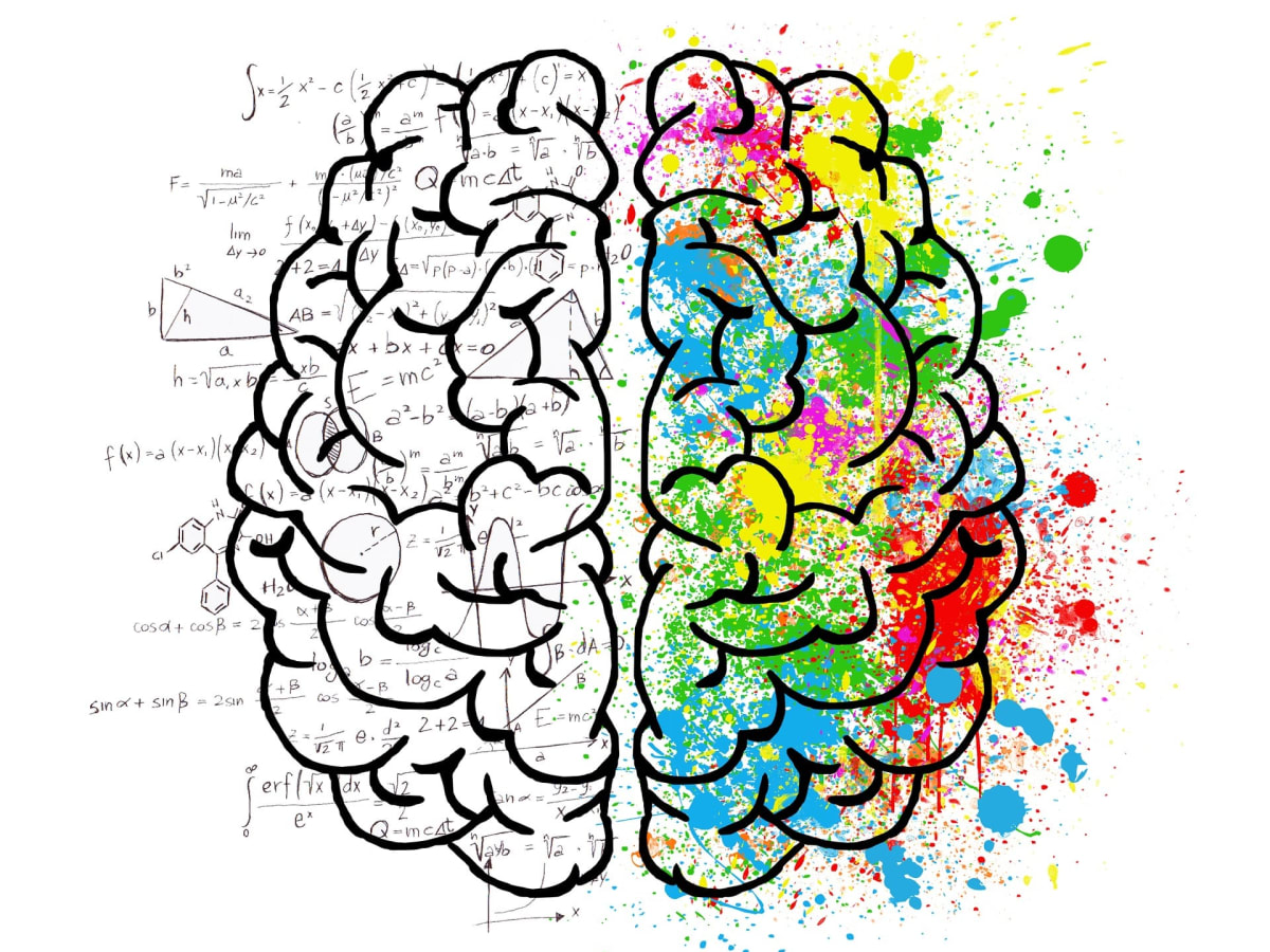 Dessin d'un cerveau actif et inactif
