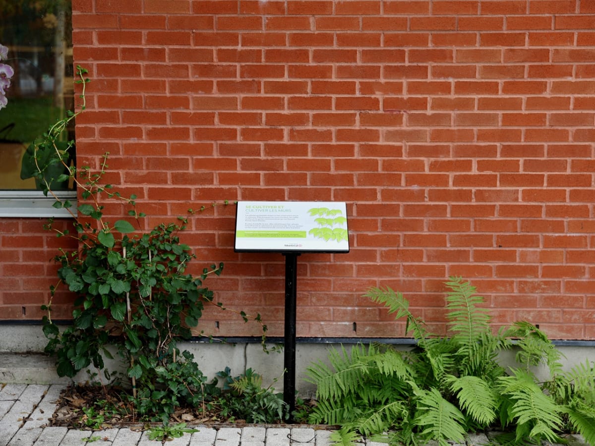 Projet du budget participatif local