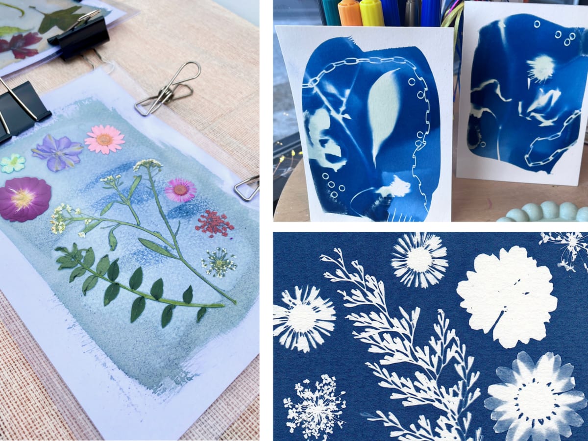 Des photo d'exemple de cyanotype