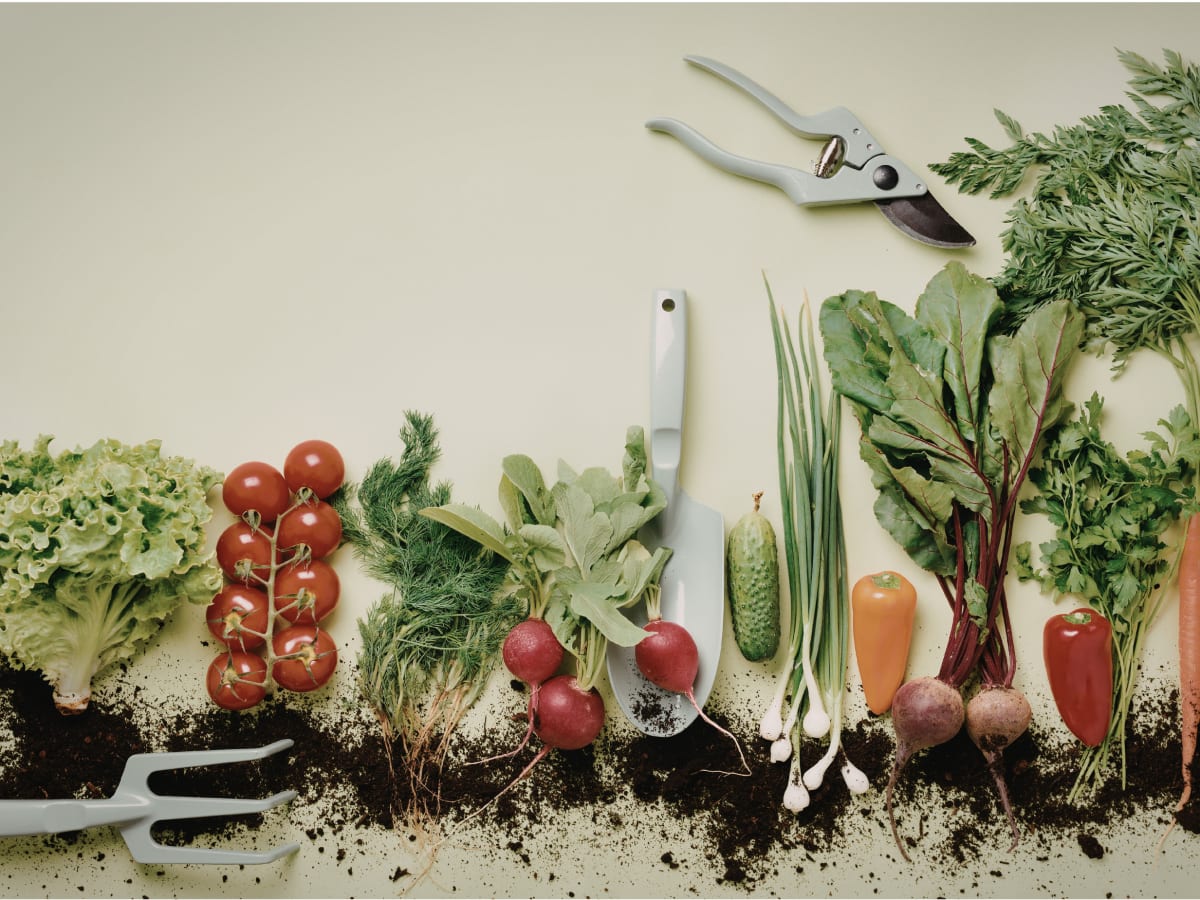 Potager à l'intérieur