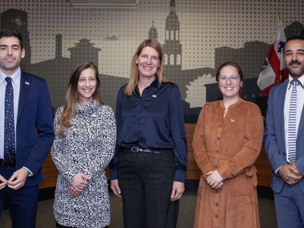 Membres du conseil d'arrondissement du Sud-Ouest