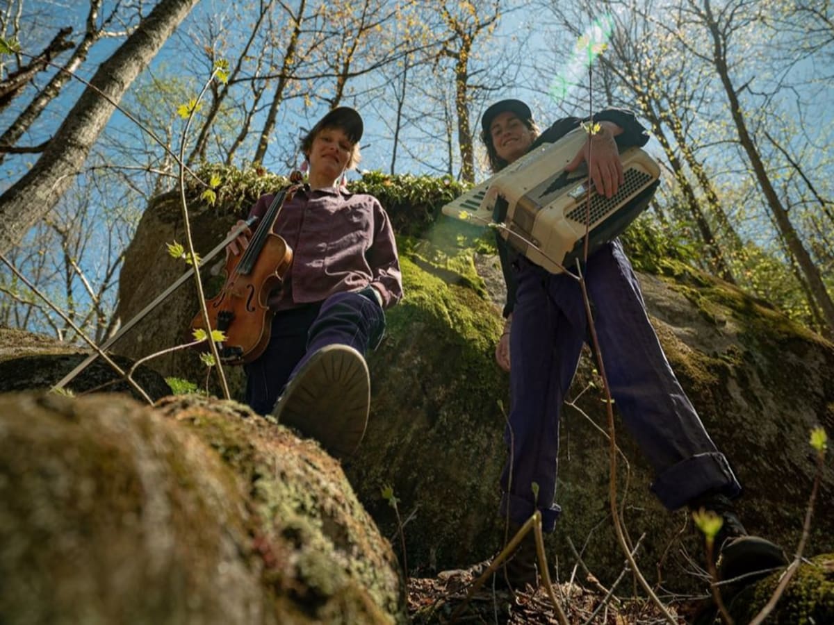 Conifère Mélomanes - Mauve Fougère Série Exploration Mercredi, 2 décembre - 19 h Hall du Quai 5160