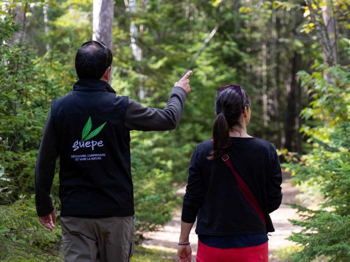 Photo de personnes marchant dans la forêt