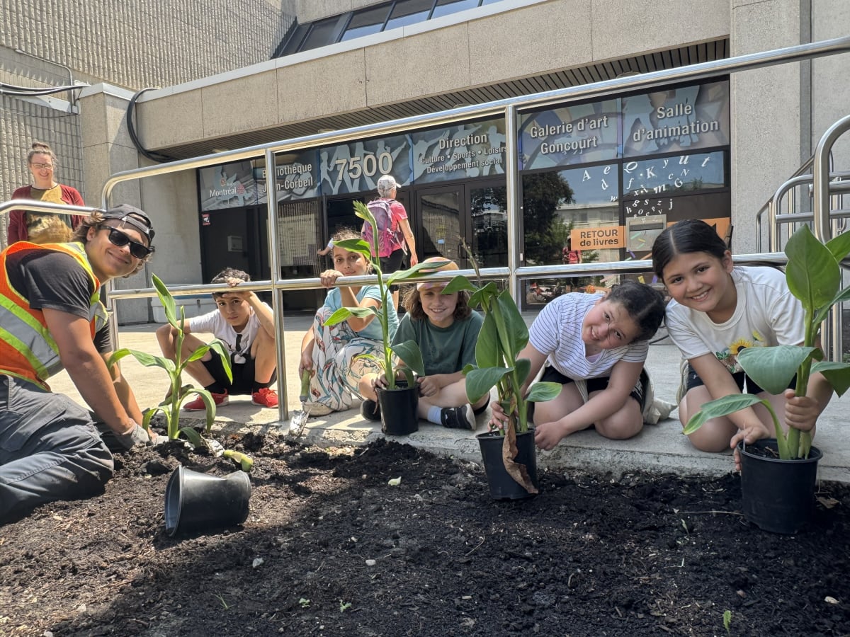 Plantation d'élèves devant la bibliothèque