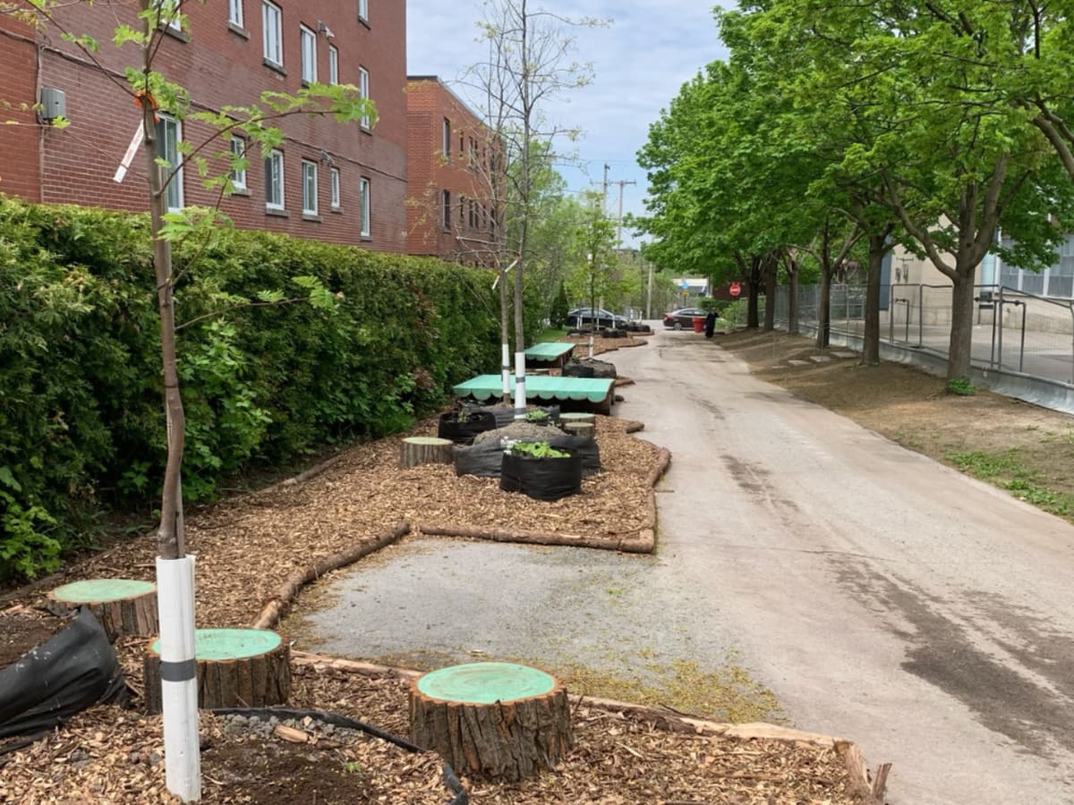 Aménagement ludique avec arbre sur Goyer