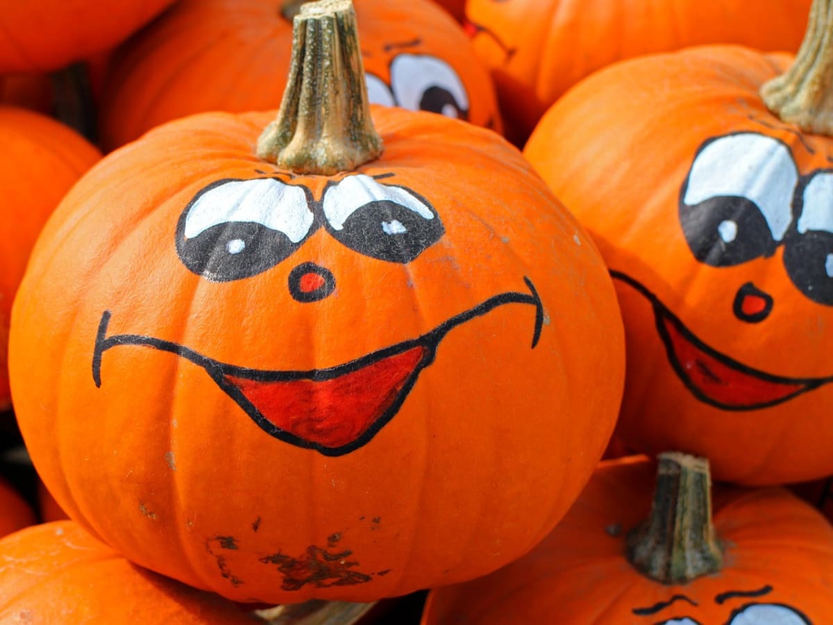 Des citrouilles avec des visages rigolos