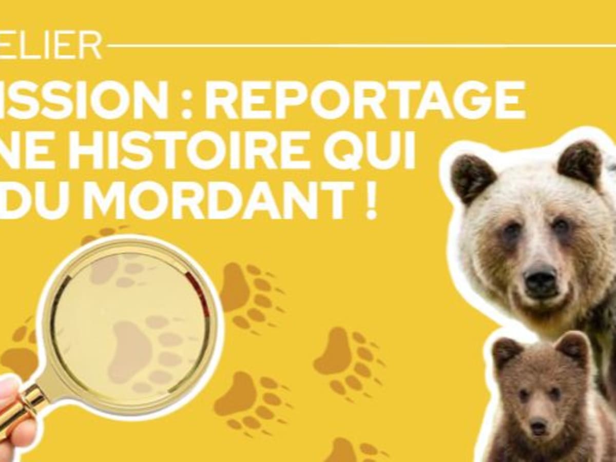 Affiche Mission reportage : une histoire qui a du mordant!