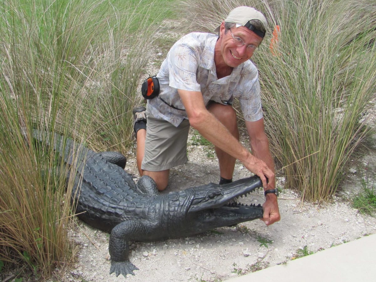 Un homme tient la bouche ouverte d'un alligator.