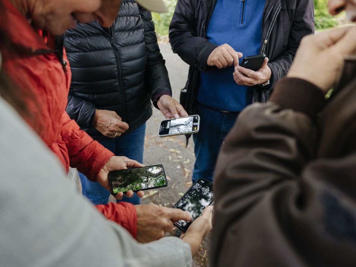 Cinq personnes, dont ne ne voit que le torse vêtu de manteaux d'automne, se tiennent en rond dans un parc, tenant leur téléphone cellulaire dans le main. Elles observent et commentent les photos prises sur leur téléphone.