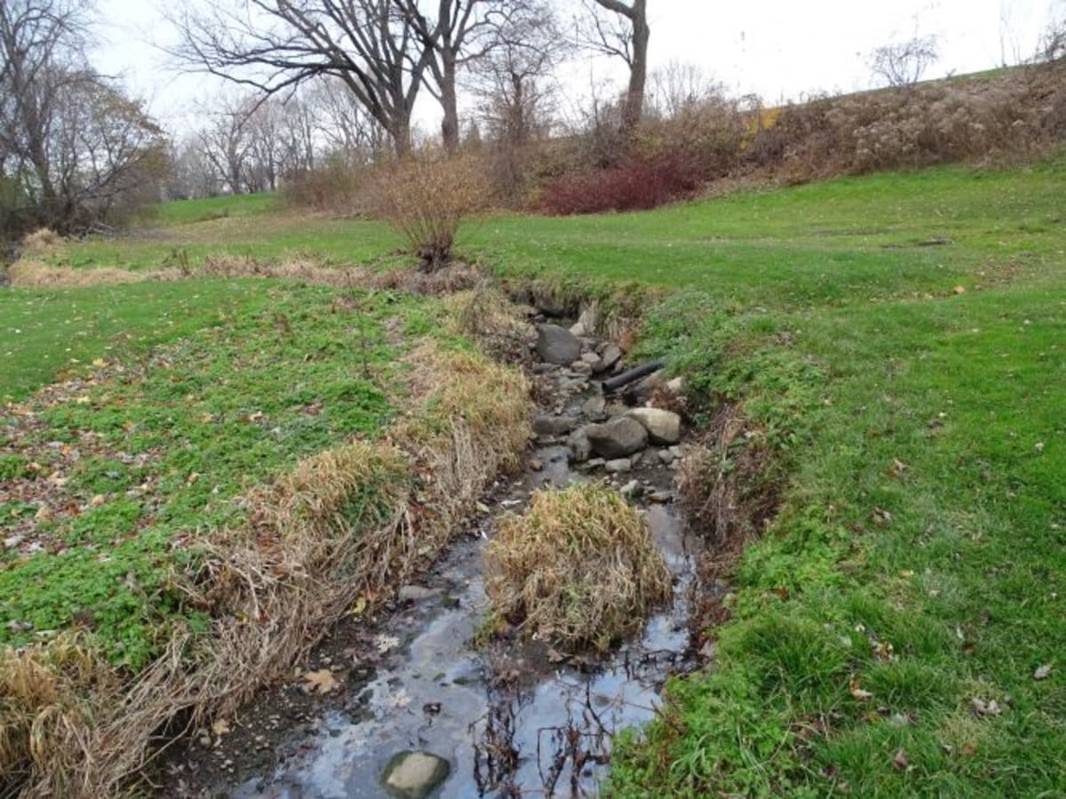 La rivière Saint-Pierre, réduite à la taille d'un ruisseau, qui coule au milieu d'une prairie