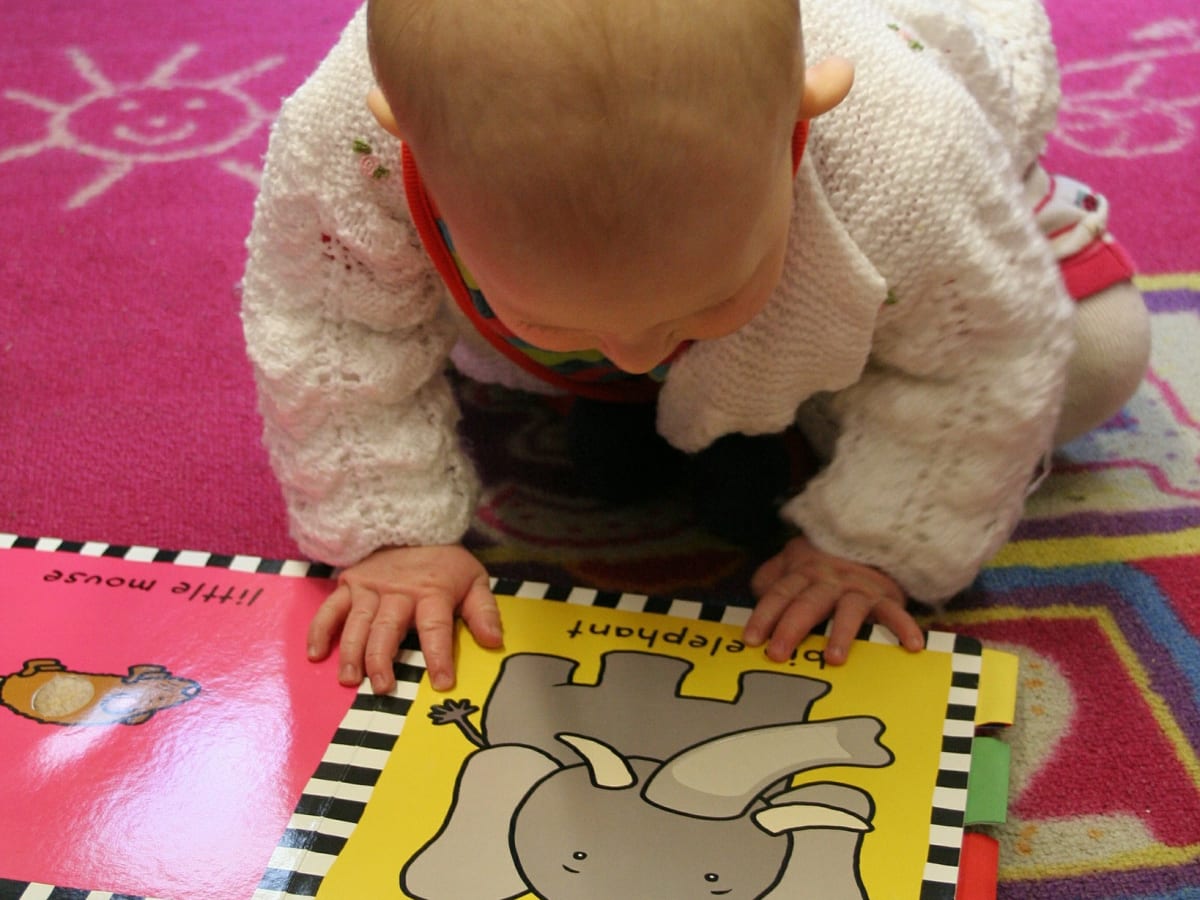 Un bébé qui regarde un livre cartonné avec une image d'un éléphant.