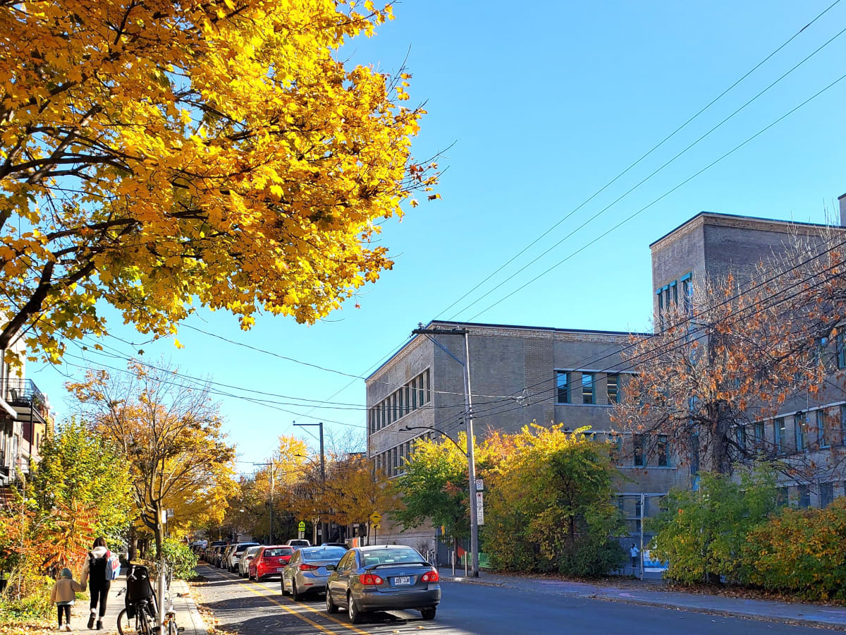 Aperçu de la rue Drolet - Quartier-école La Petite-Patrie