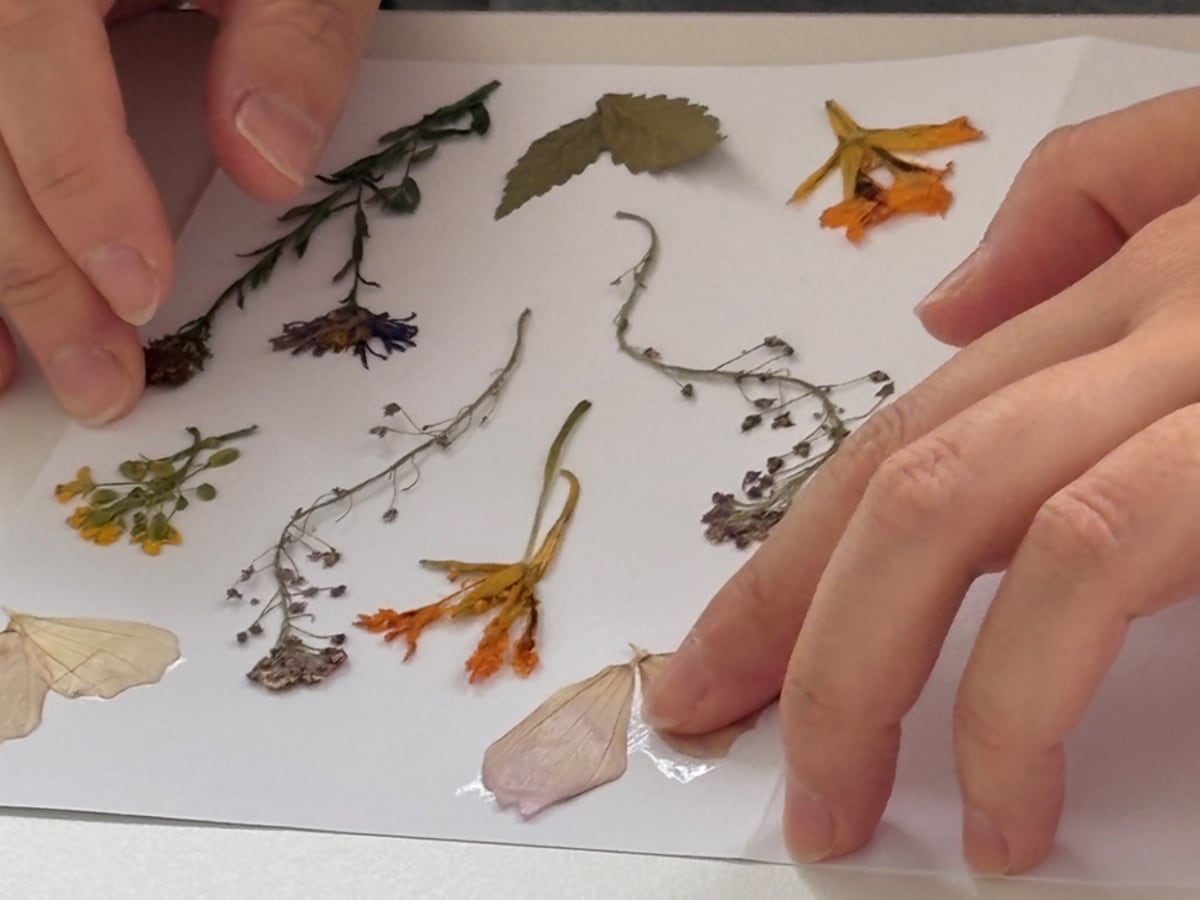 Les mains d'une personne qui colle des fleurs séchées sur une feuille.