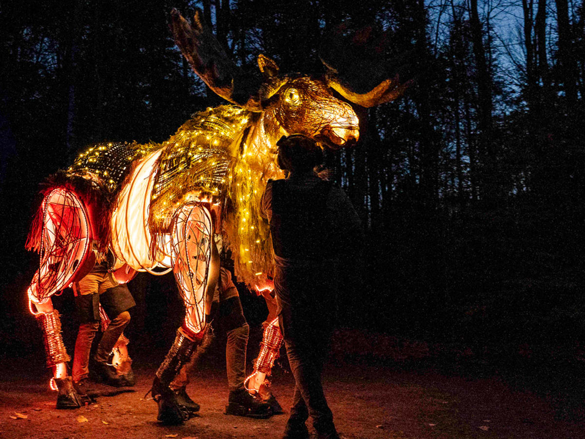 Orignal illuminé pour programmation automne Sud-Ouest