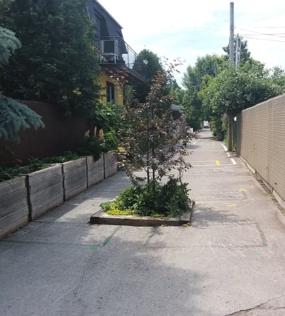 Ruelle Bac de plantation