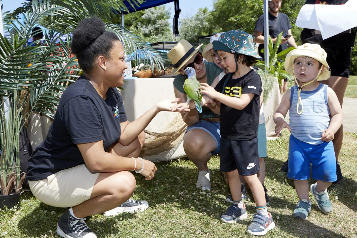 Célébrons en famille la fête nationale 2025