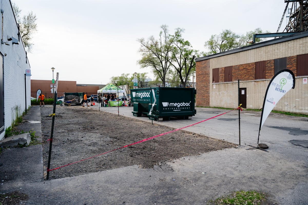 Photo du futur Jardin de la Diversité dépavé