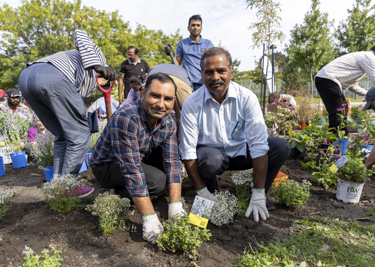 Séance de plantation du Triangle Ball dans le cadre du programme Bye Bye Béton