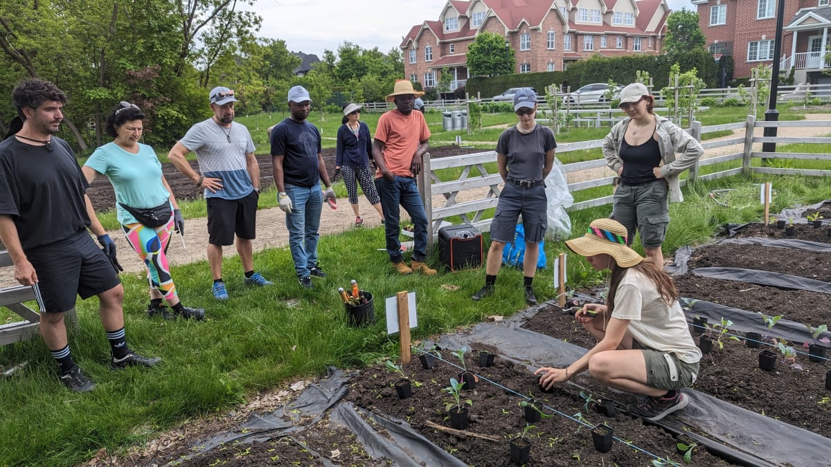 Activité de jardinage à la maison Robert-Bélanger