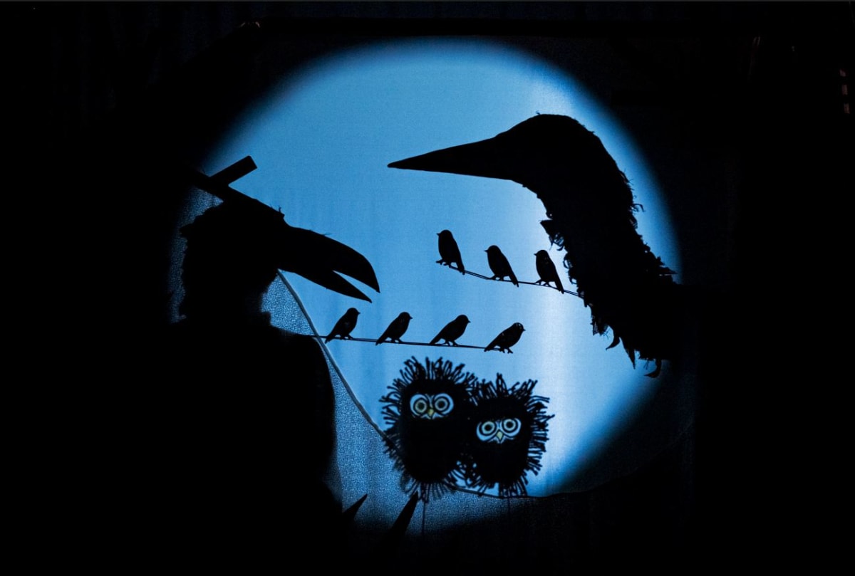 Ce Que Cache La Foret - Ombres folles_Centre Sanaaq