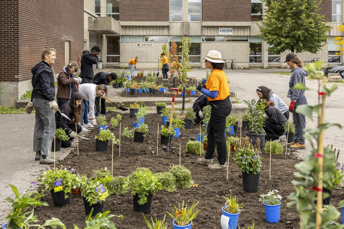 Des élèves participent à la plantation du nouveau site Bye Bye Béton! de l'école Georges-Vanier avec l'aide de l'équipe de Ville en vert.
