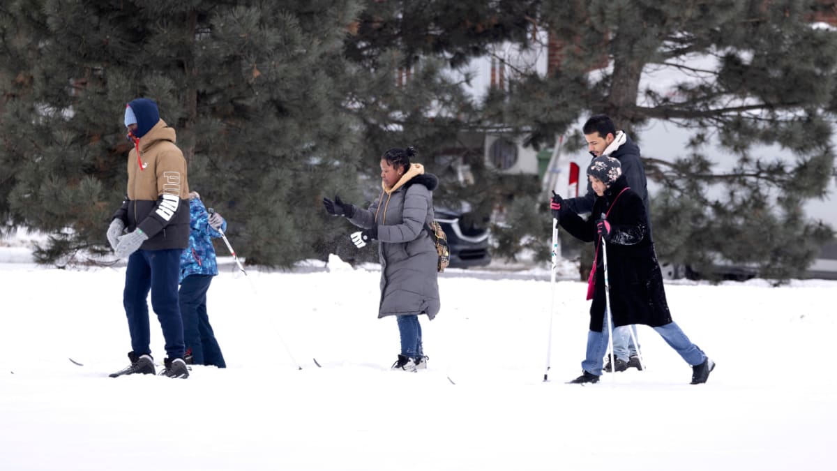 Personnes qui font du ski de fond dans un parc