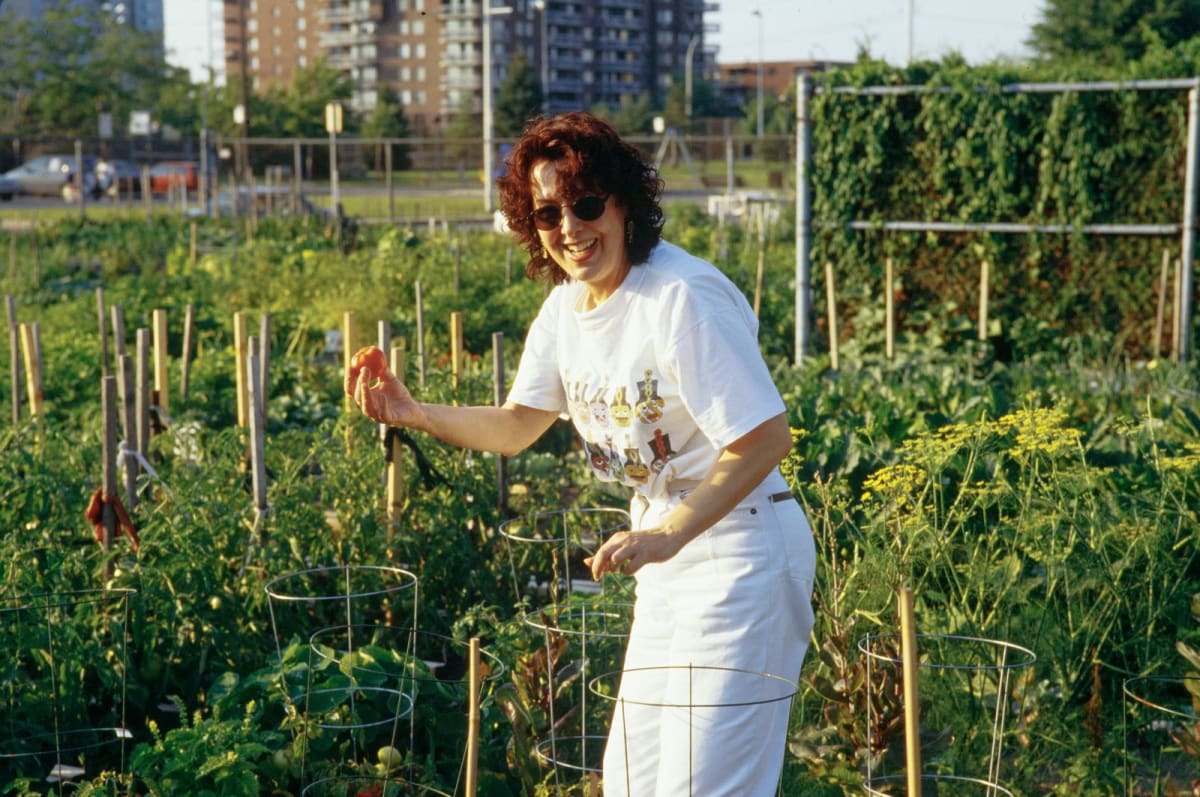 22. Jardin communautaire Lucie-Bruneau - Années 90