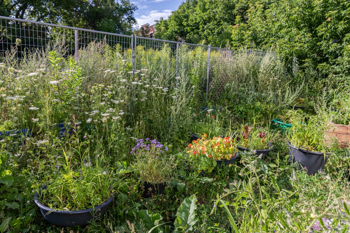 Jardin du CPE La Ruche