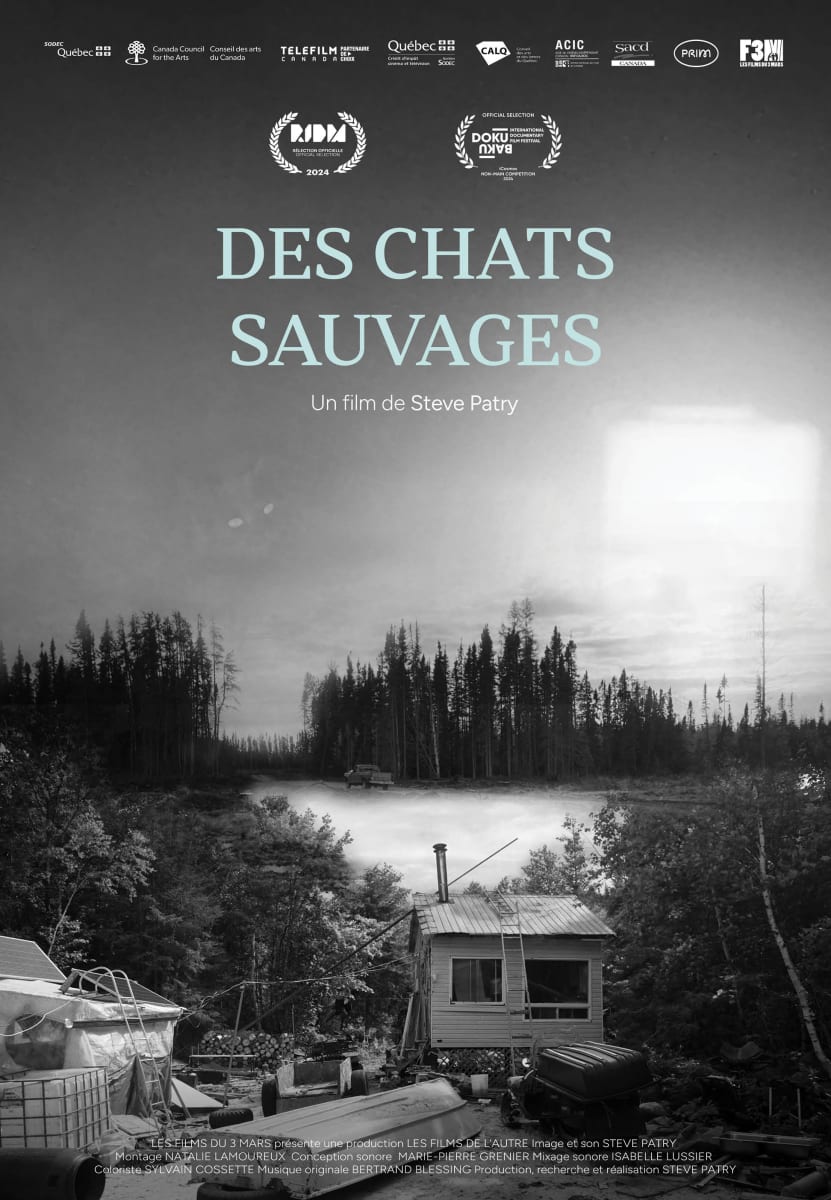 Affiche du film Des Chats sauvages de Steve Patry. Crédit: Les Films du 3 Mars.